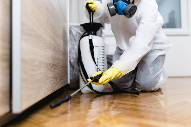 Trusted Shinnecock Hills, NY Pest Control Experts