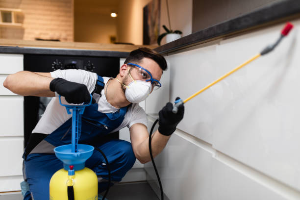 Best Best Pest Control Companies  in Shinnecock Hills, NY
