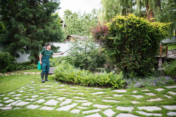 Best Local Pest Control Services  in Shinnecock Hills, NY