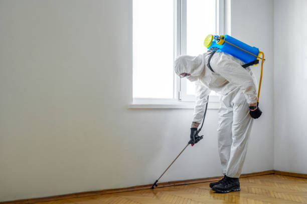 Best Pest Prevention Services  in Shinnecock Hills, NY