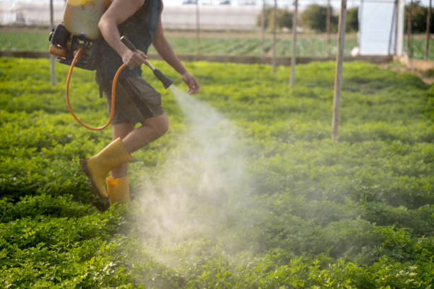 Best Pest Removal Services  in Shinnecock Hills, NY