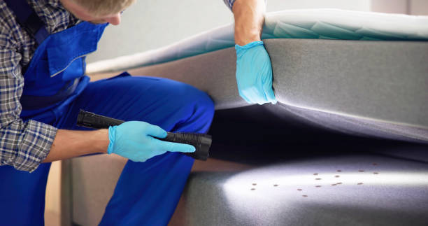 Best Wasp Removal Services  in Shinnecock Hills, NY
