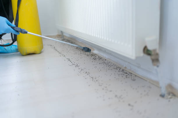 Best Termite Control Services  in Shinnecock Hills, NY