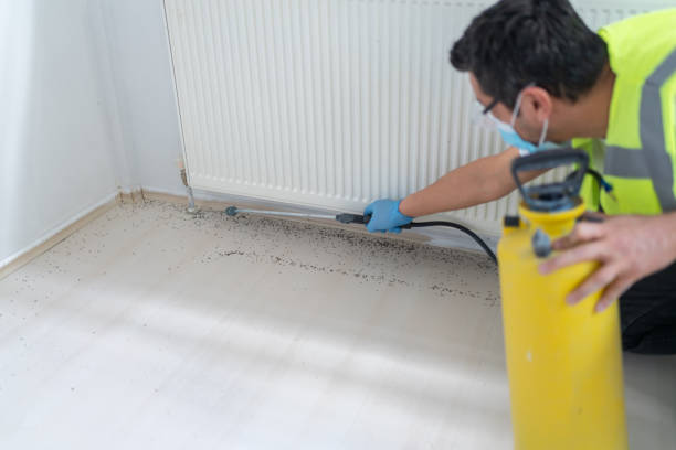 Best Cockroach Control Services  in Shinnecock Hills, NY
