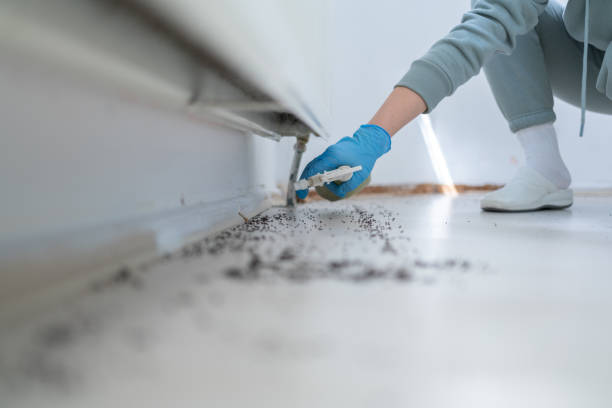 Best Mosquito Control Services  in Shinnecock Hills, NY